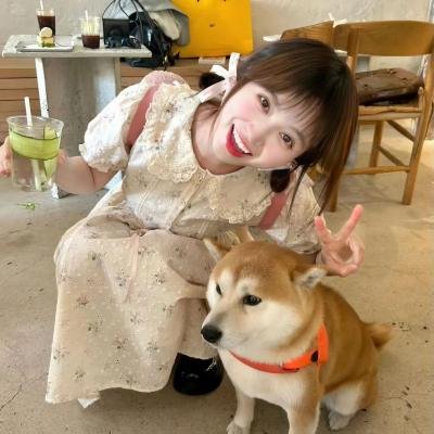 爱飞翔